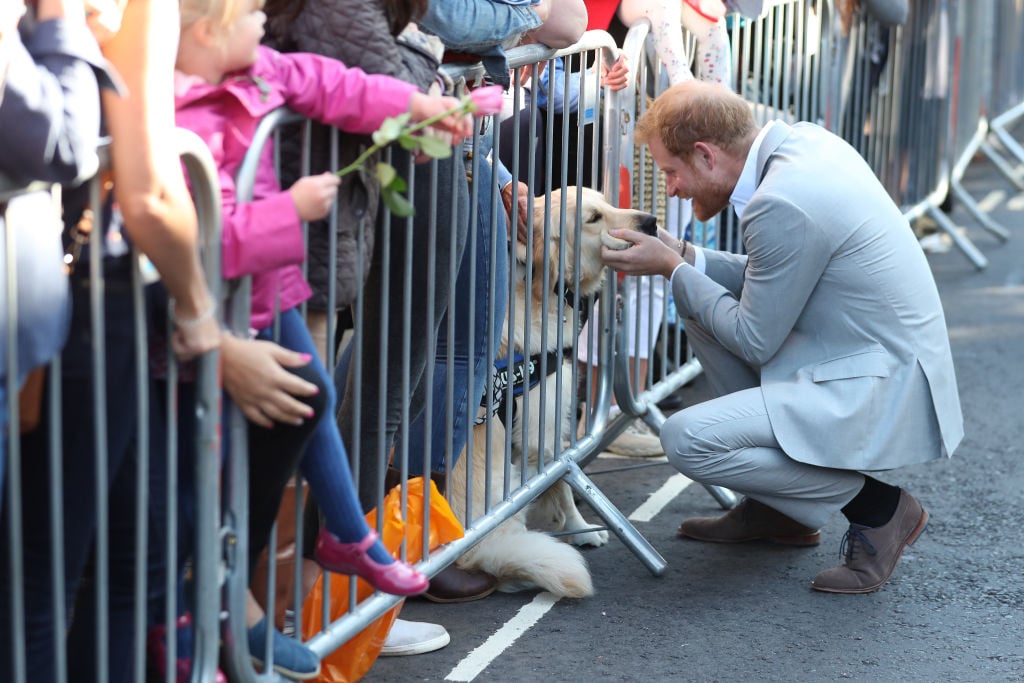 Prince Harry Prince Harry