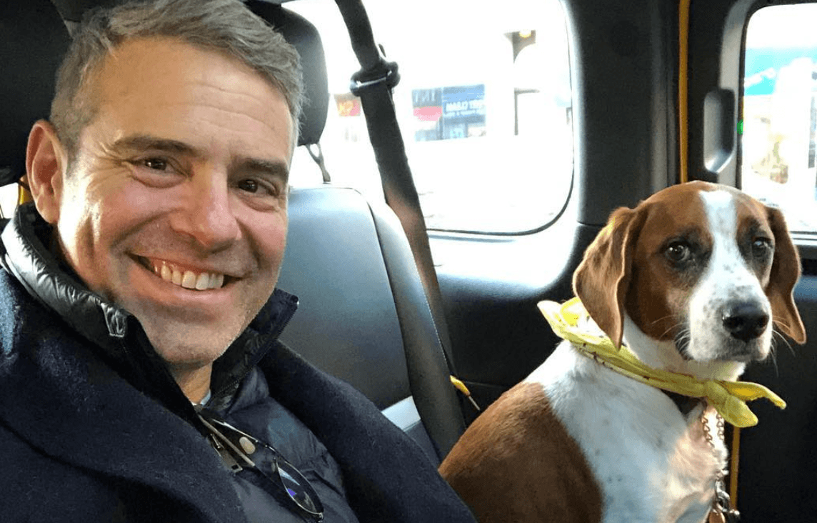 What is Andy Cohen’s Net Worth?