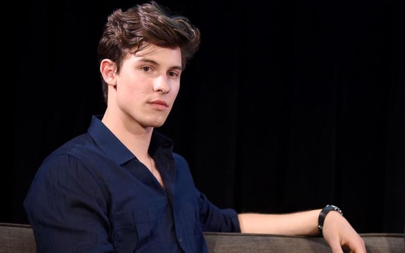 Shawn Mendes How Much is the Canadian Singer Worth?