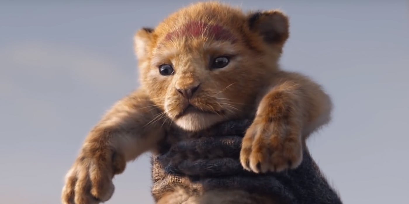 Simba in The Lion King 2019