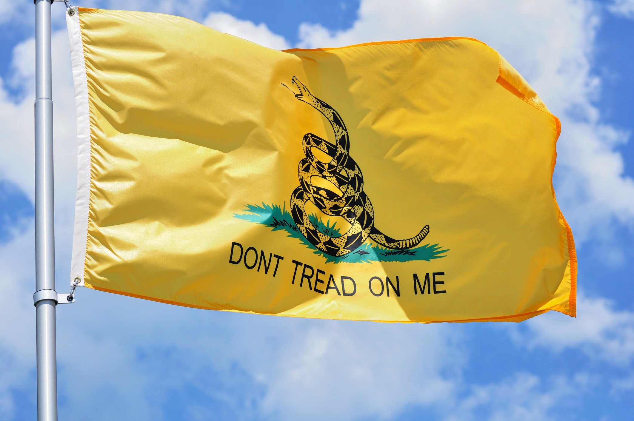 Gadsden flag