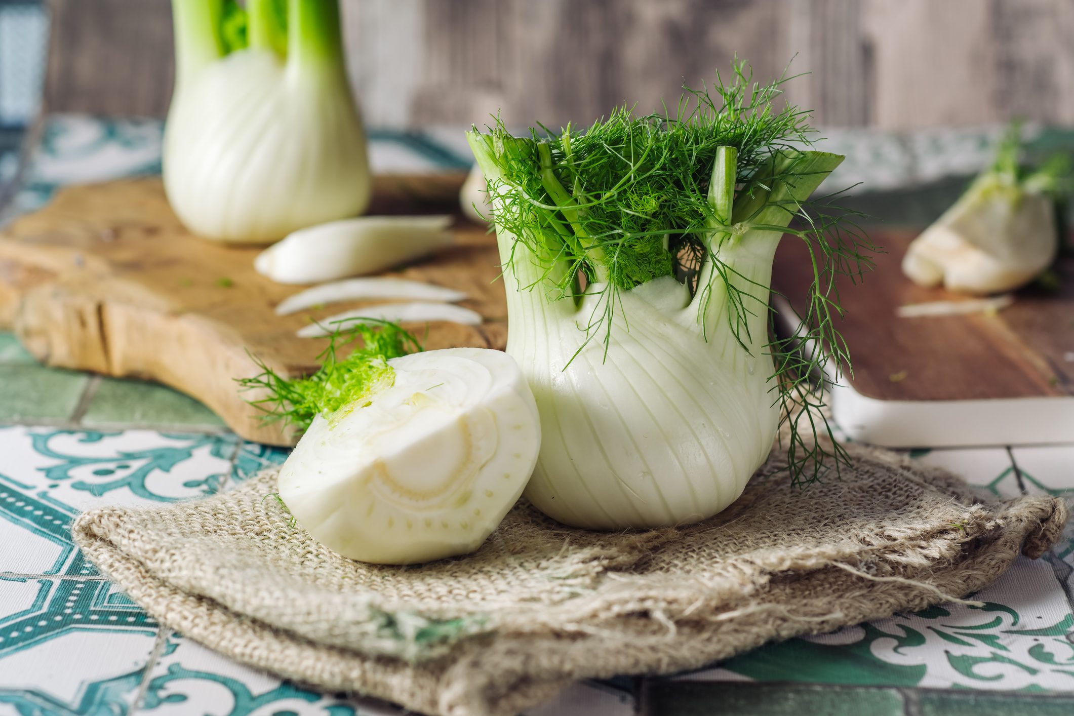 Fennel Fennel
