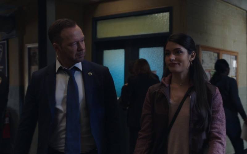 'Blue Bloods' Is Danny Reagan's New Love Interest Someone He Has