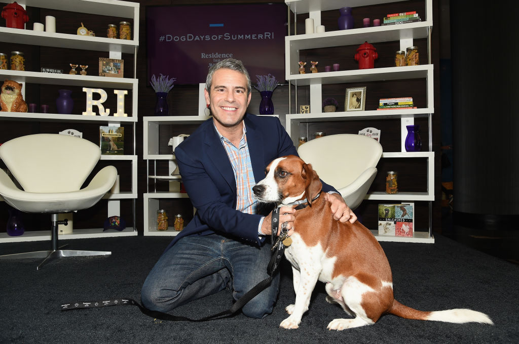 Andy Cohen’s Dog Wacha Ate a Baby Toy But That Doesn’t Mean He is Jealous