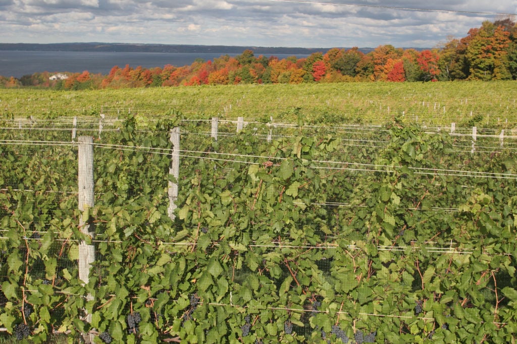 Which States Have the Most Underrated Wine Regions?