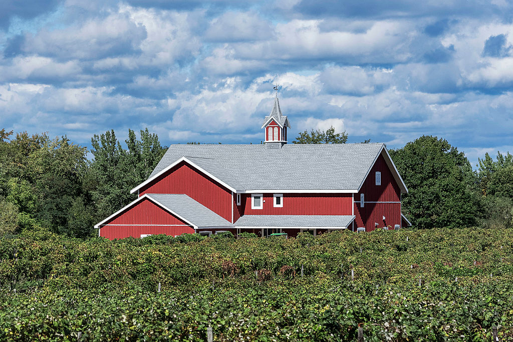 Pennsylvania vineyard and barn