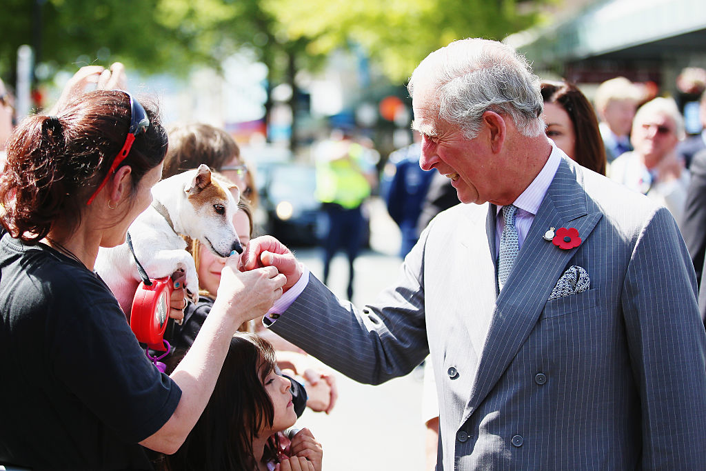 Prince Charles greeting a dog