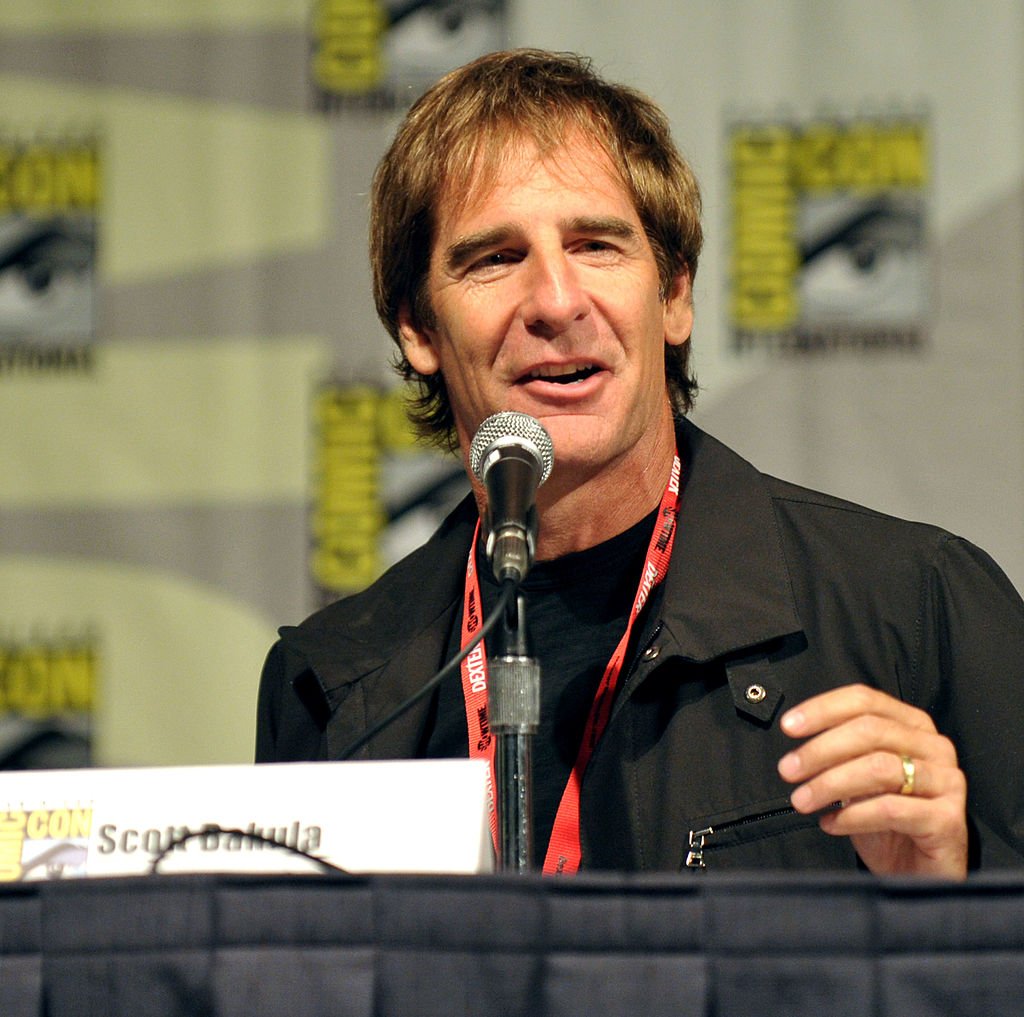 Scott Bakula|John Shearer/Getty Images for TV Guide