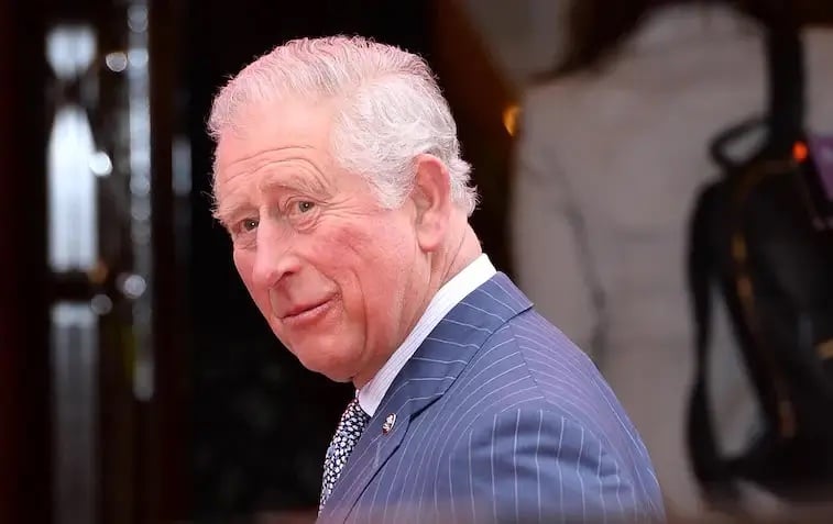 King Charles III wearing a pin striped suit