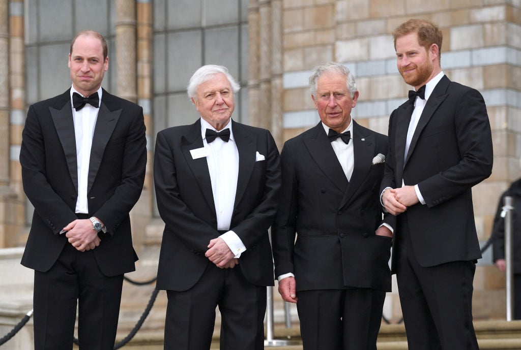 Prince William and Prince Harry at "Our Planet" Global Premiere - Red Carpet Arrivals