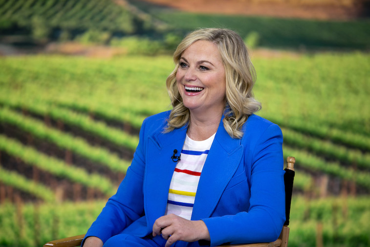 Amy Poehler