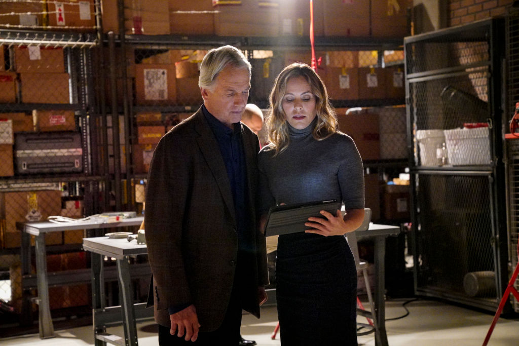Mark Harmon and Maria Bello