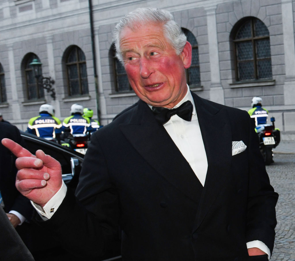 Prince Charles|Angelika Warmuth/picture alliance via Getty Images