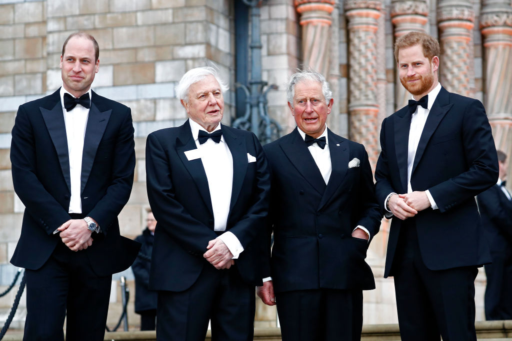 Prince William, David Attenborough, Prince Charles, and Prince Harry.