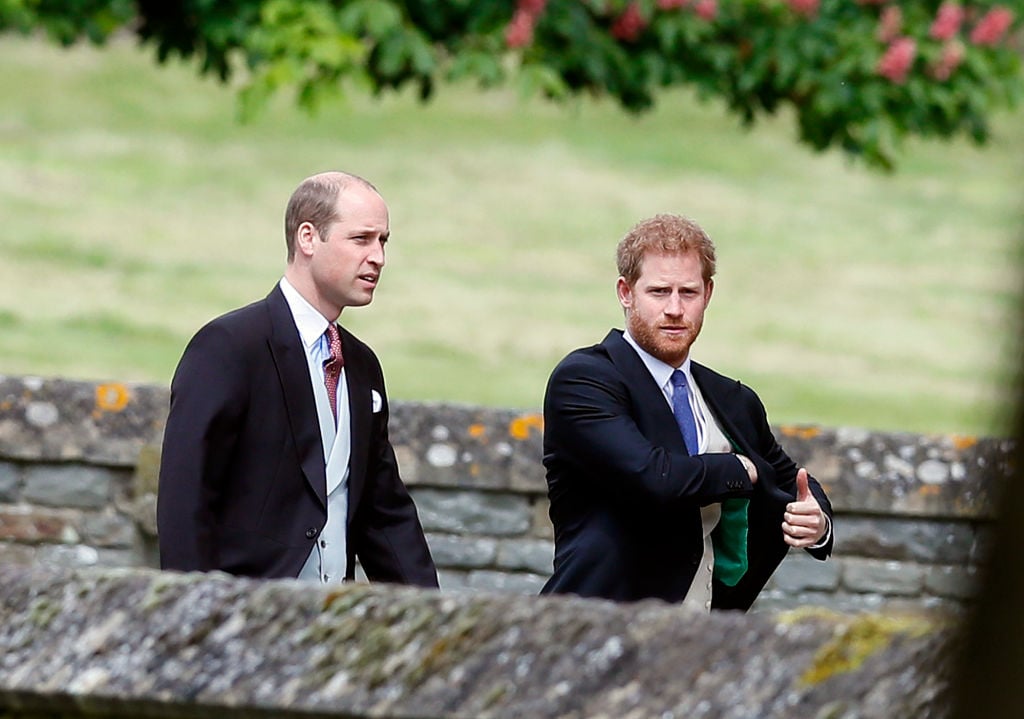 Prince Harry and Prince William 