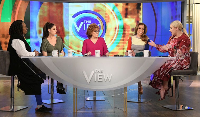The View hosts
