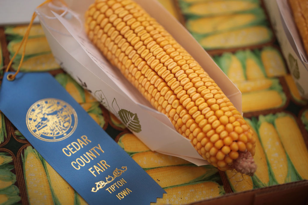 Cedar County Fair