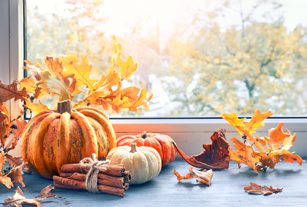 Pumpkins and fall leaves