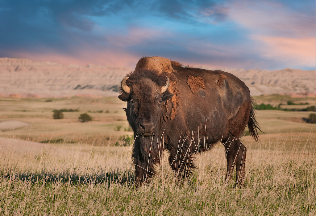 Badlands, South Dakota