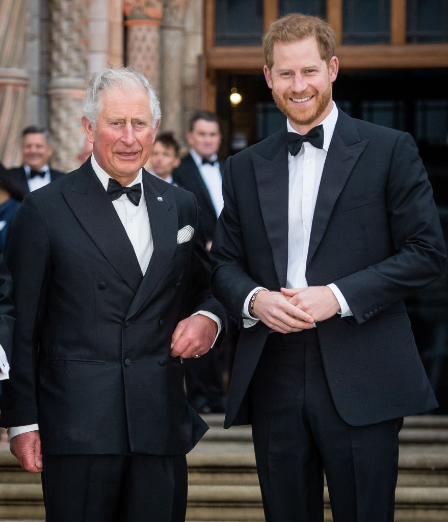 Prince Charles and Prince Harry