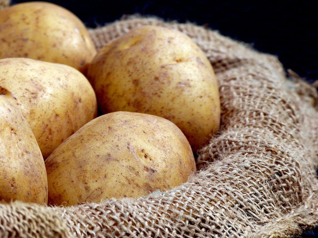 Russet Potatoes