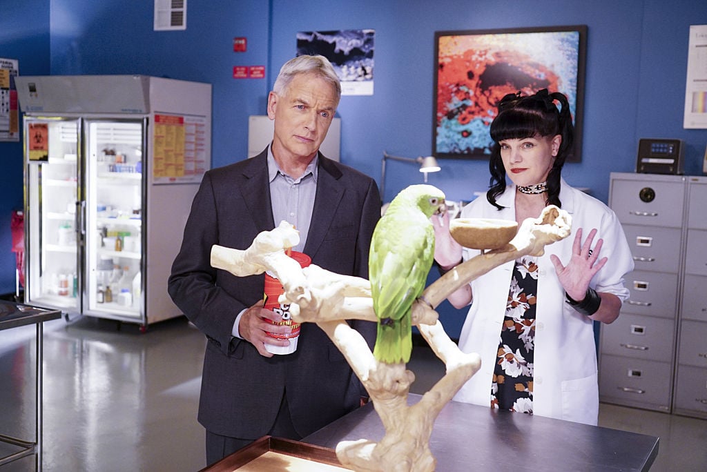 Mark Harmon and Pauley Perrette