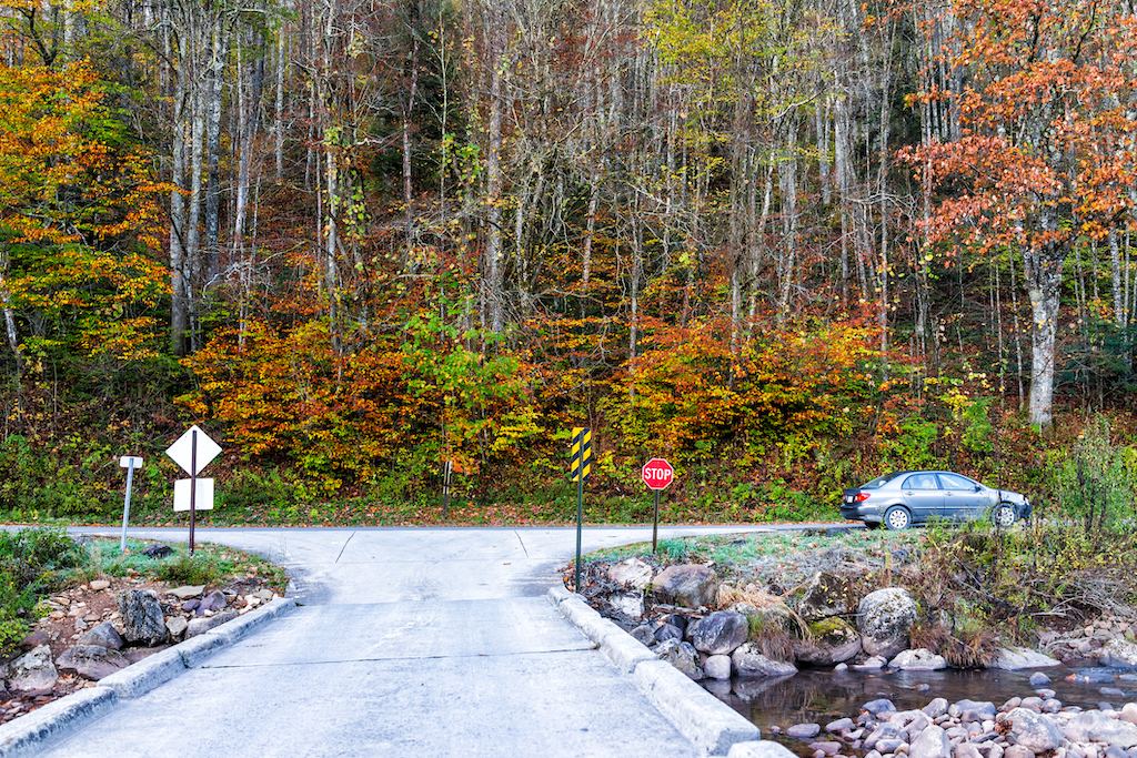 West Virginia's Cranberry Wilderness