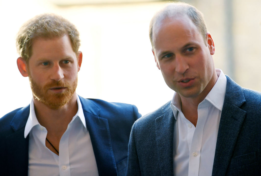 Prince William and Prince Harry