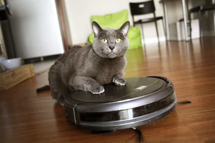Cat sitting in the robotic vacuum cleaner