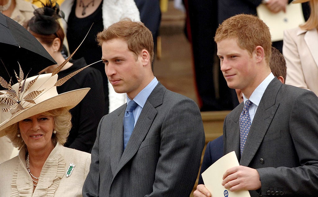 Prince William, Harry and Camilla