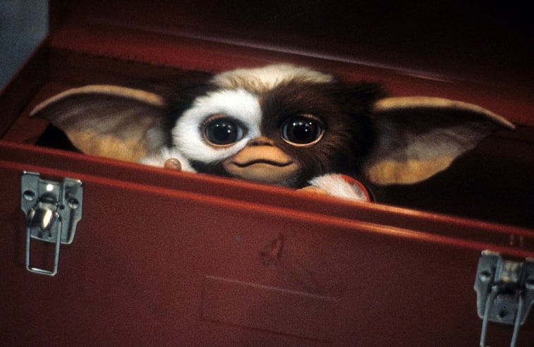 Gizmo from Gremlins.