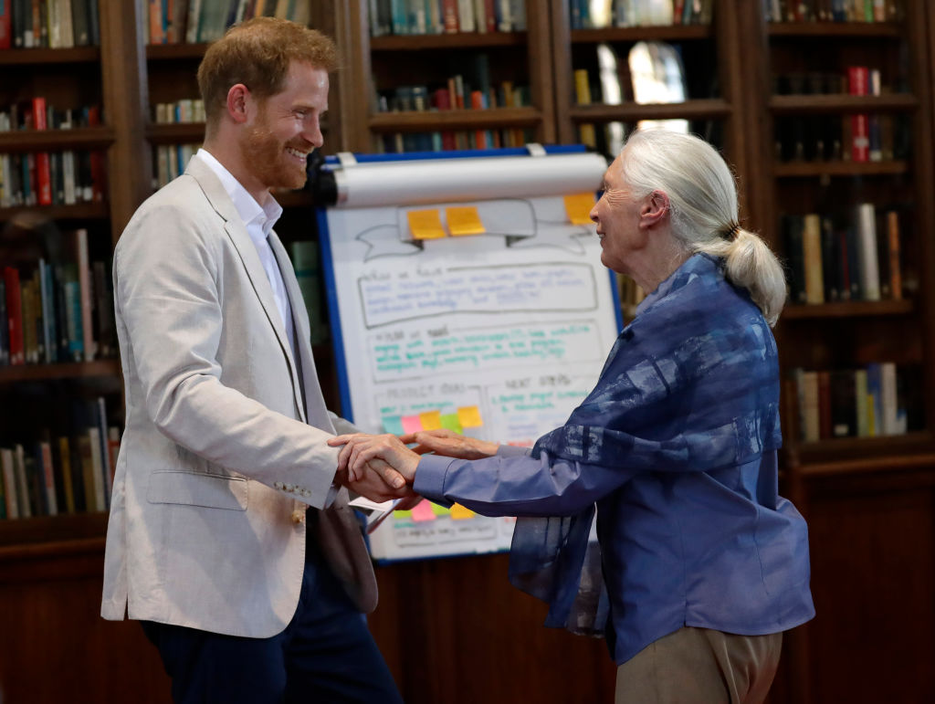 Prince Harry attends Dr. Jane Goodall's Roots & Shoots Global Leadership Meeting