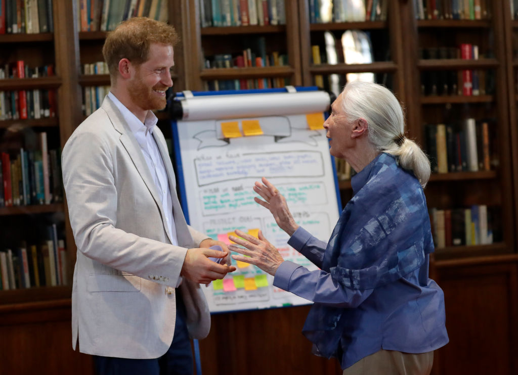Prince Harry and Jane Goodall hug, says she's met Meghan Markle and Archie