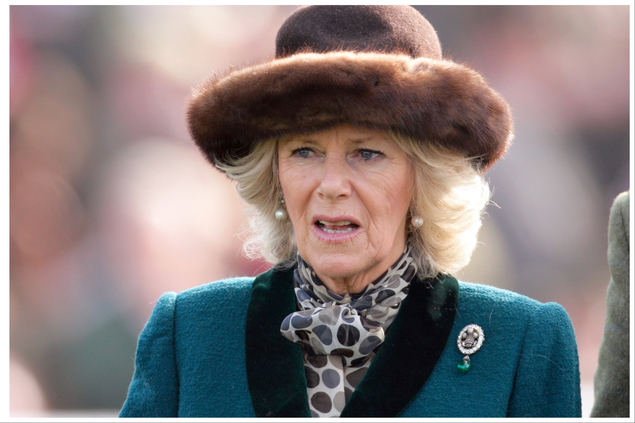 Royal Fans Are Furious Over the Shocking Thing Camilla Did With Princess Diana’s Jewelry