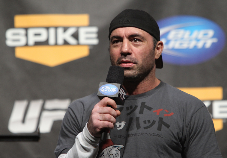 What Did Joe Rogan Do Before He Was Famous