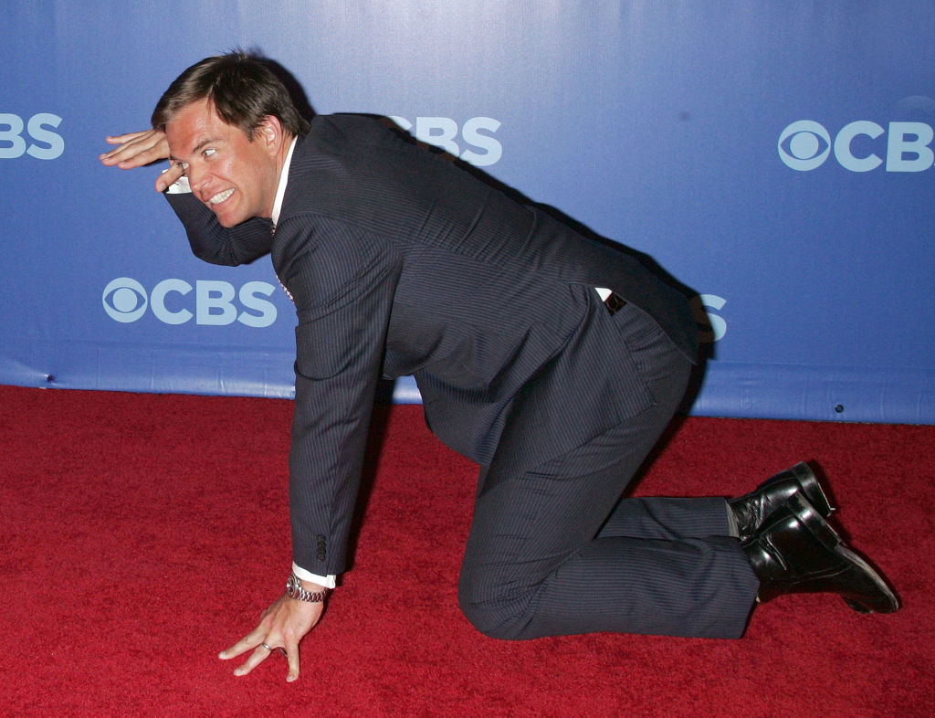 Michael Weatherly | Jim Spellman/WireImage