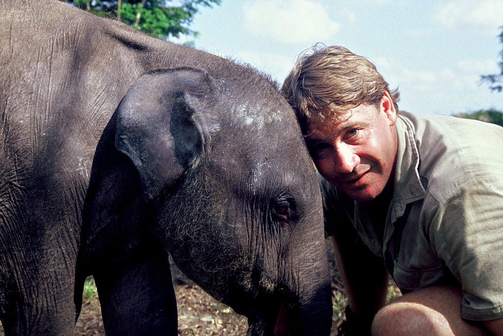 Steve Irwin