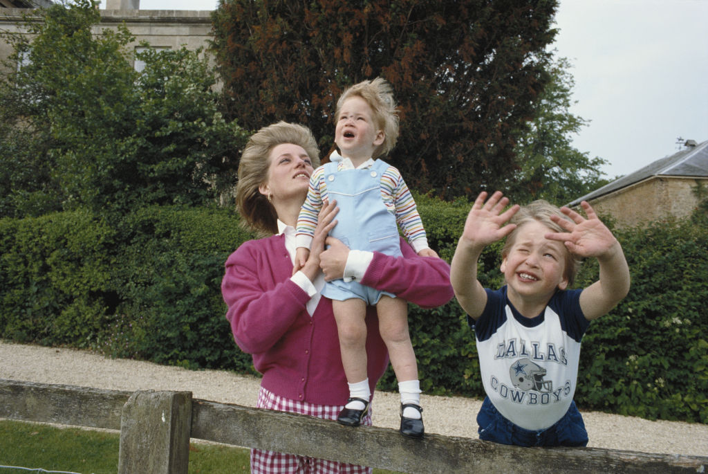 Princes William and Harry with their mother, Diana, Princess of Wales