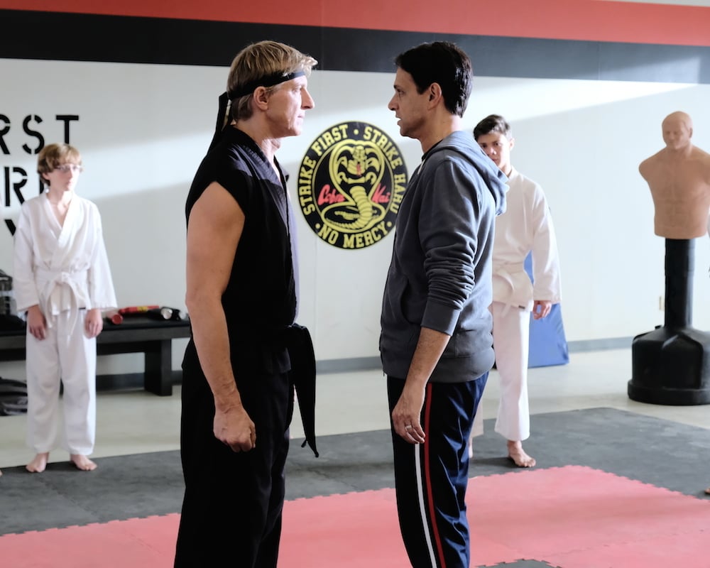 Karate Kid series Cobra Kai