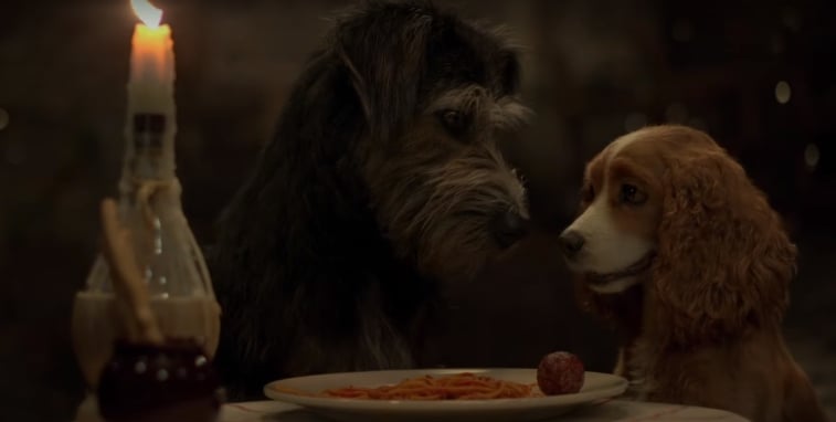 'Lady and the Tramp'