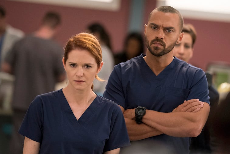 Sarah Drew and Jesse Williams