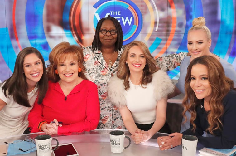 'The View' Returns To ABC