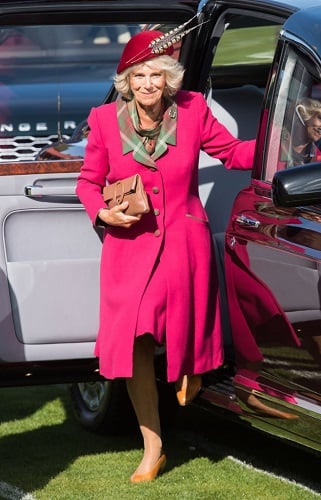 Camilla, Duchess of Cornwall attends an event