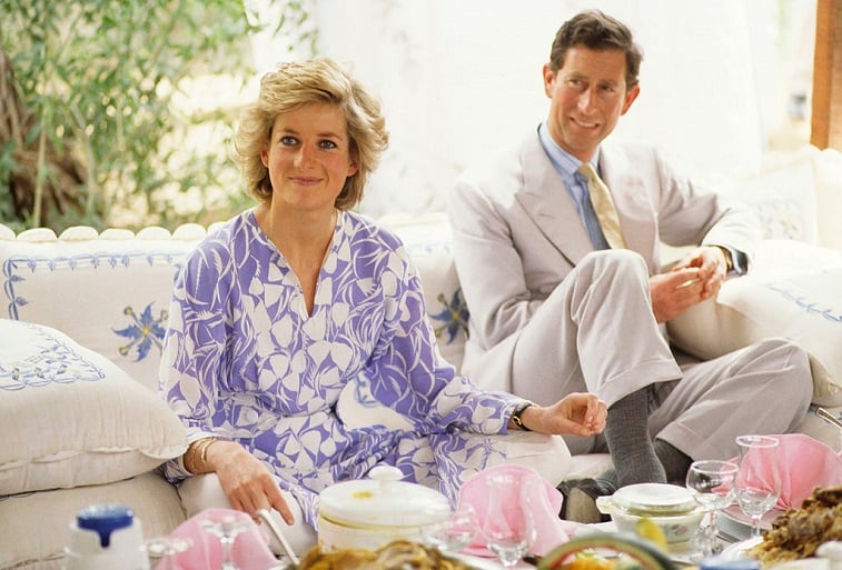 The Prince And Princess Of Wales attend a picnic