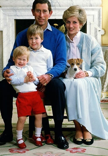 Prince Charles, Princess Diana, Prince William, and Prince Harry