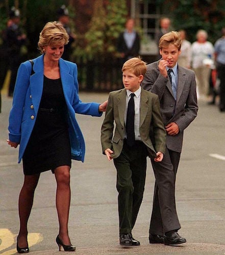 Princess Diana with Prince Harry and Prince William 