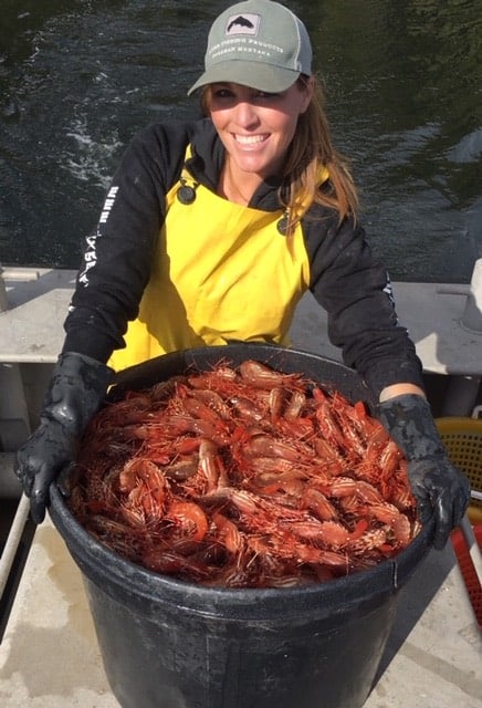 ‘Below Deck’ Viewers Can’t Seem to Stop Trolling Rhylee Gerber