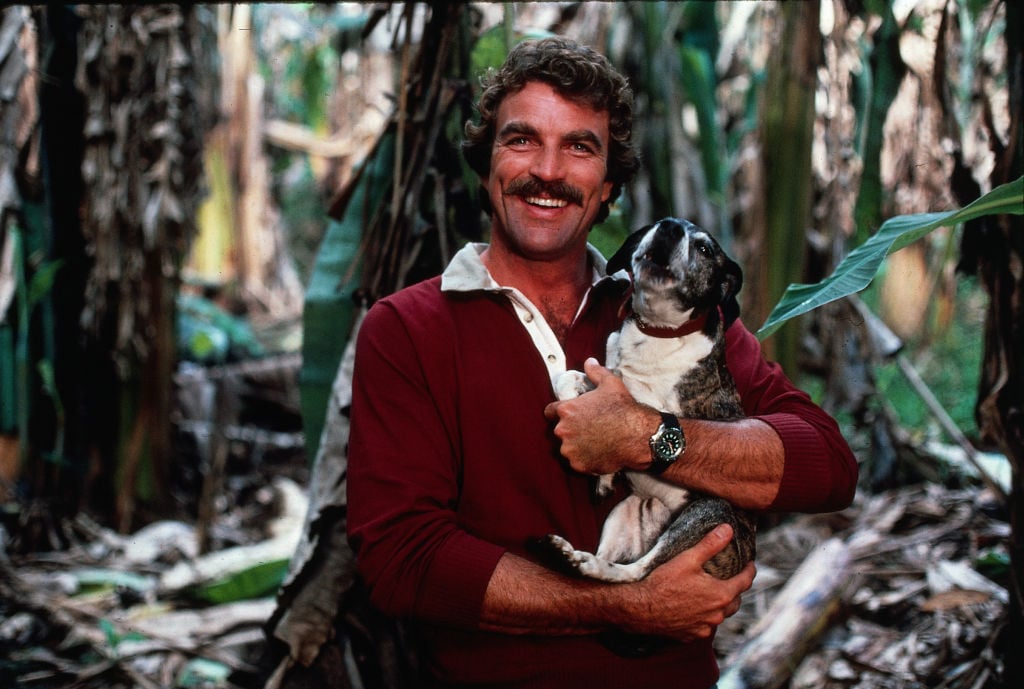 Tom Selleck in Magnum P.I. |  CBS Photo Archive/Getty Images