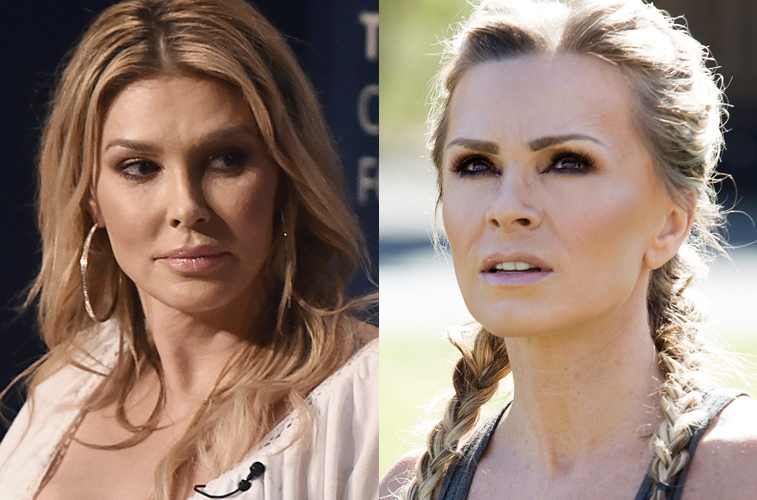Brandi Glanville and Tamra Judge