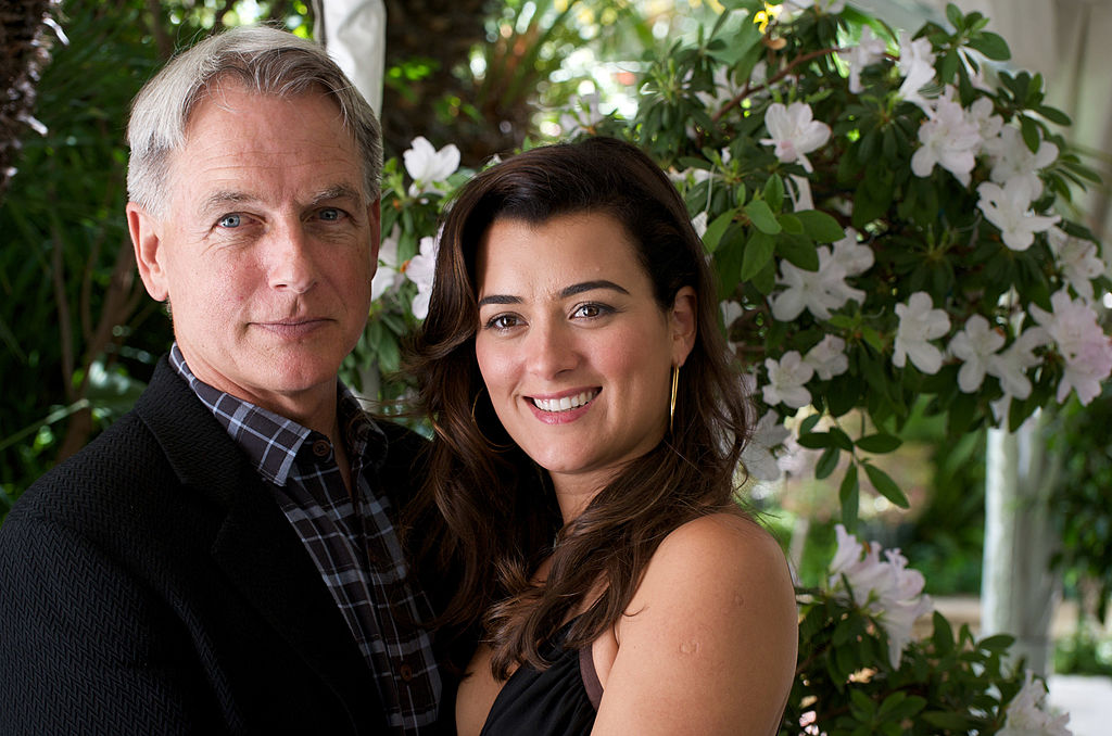 Mark Harmon and Cote de Pablo at an 'NCIS' press conference.